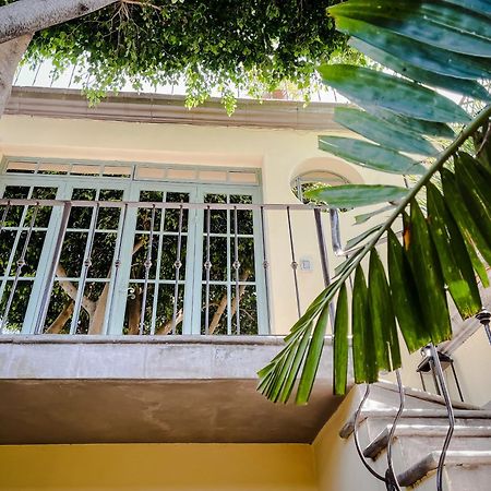 Bed and Breakfast Casa Florida San Miguel de Allende Esterno foto